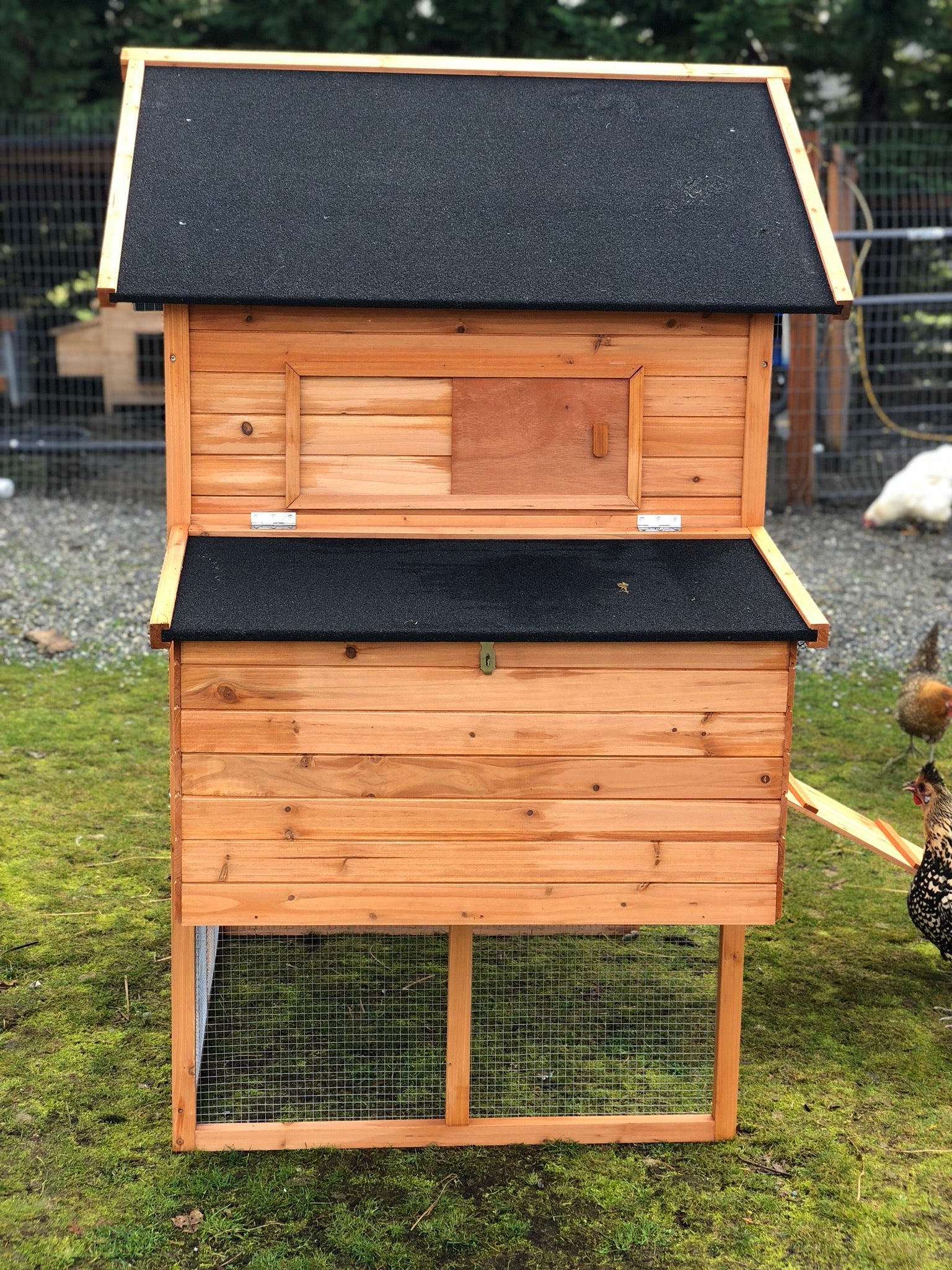 Resort chicken coop house only. - Pre-Sale