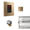 Mr.Steam Basic Butler Steam Shower Control Package with iTempo Control and Aroma Designer SteamHead | BBUTLER