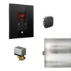 Mr.Steam Basic Butler Steam Shower Control Package with iTempo Control and Aroma Designer SteamHead | BBUTLER