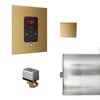 Mr.Steam Basic Butler Steam Shower Control Package with iTempo Control and Aroma Designer SteamHead | BBUTLER