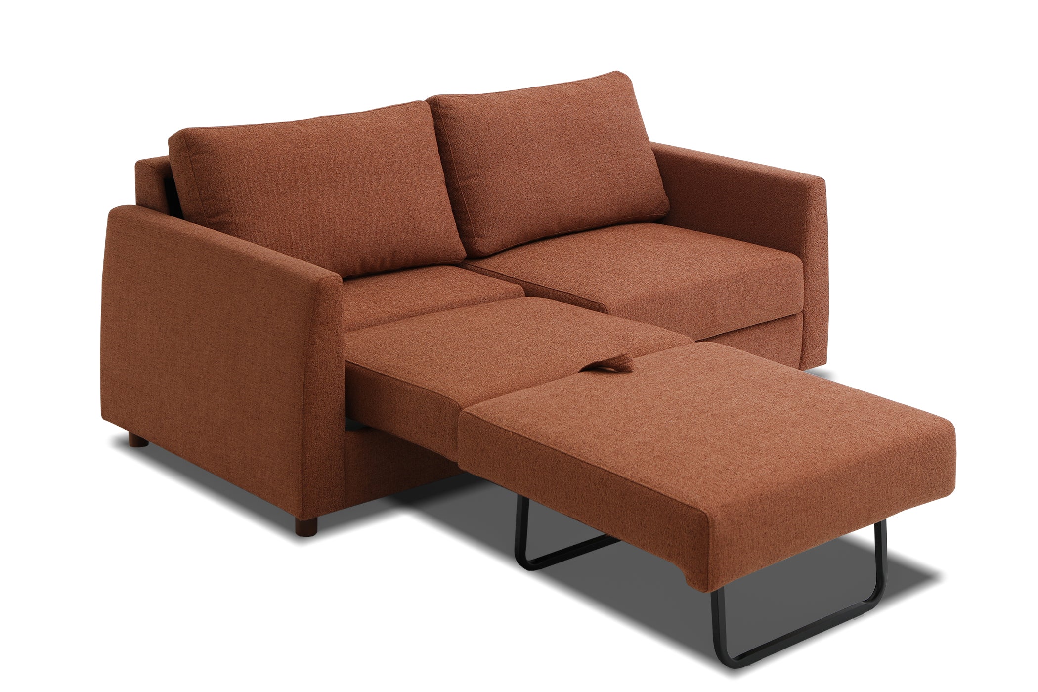 Blaine 2 Seat Sofa Bed