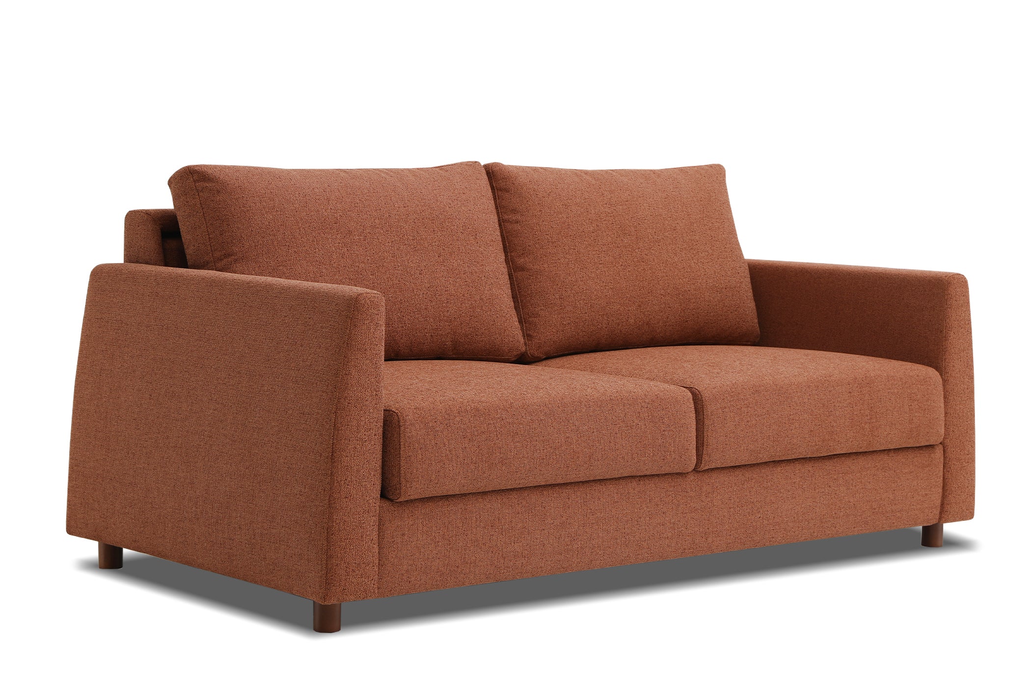 Blaine 2 Seat Sofa Bed