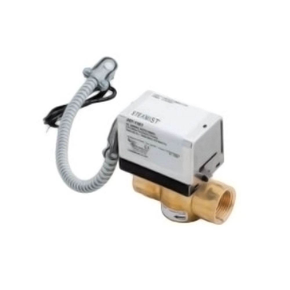 Steamist DC-ABD Digital Automatic Blowdown Valve