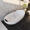 Empava 71 in. Freestanding Oval Whirlpool Bathtub | EMPV-71AIS14