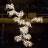 Ginkgo Combination Chandelier