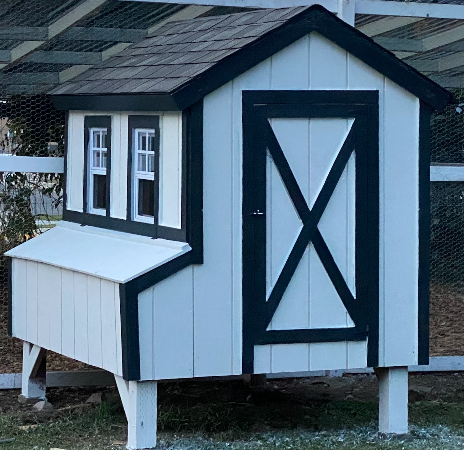 Large chicken coop plans